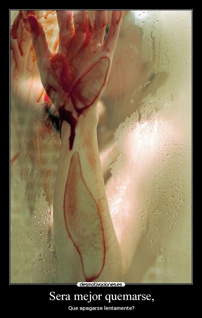 carteles sjdcsduc desmotivaciones