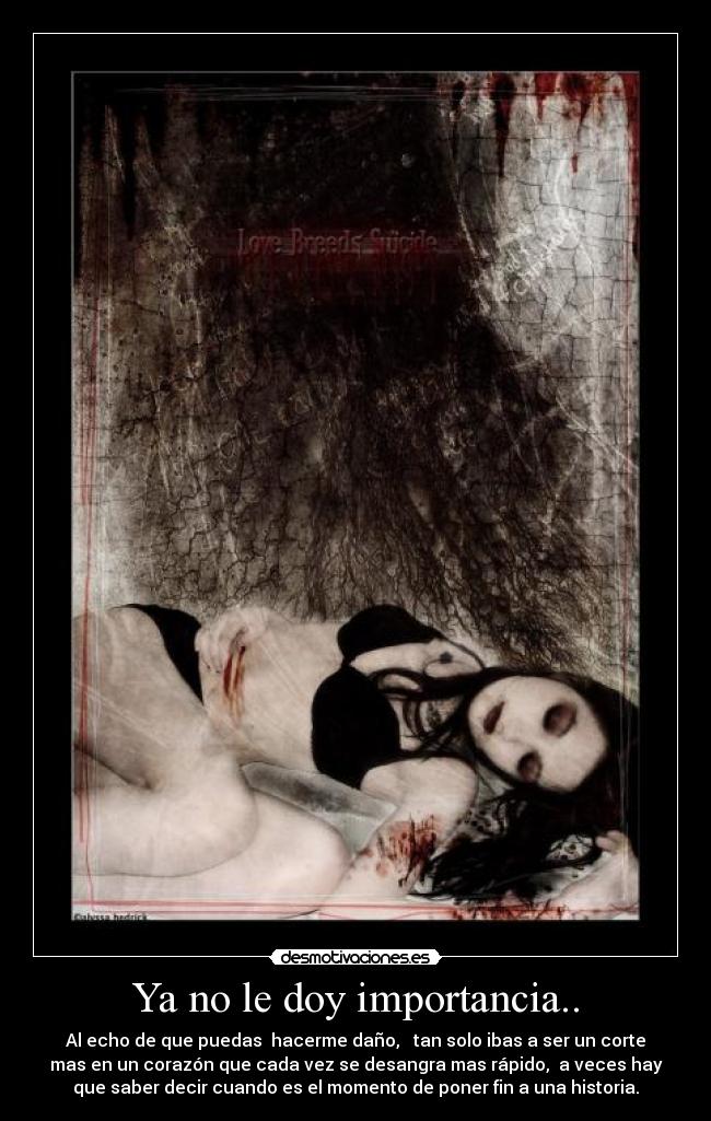 carteles nyaaa desmotivaciones