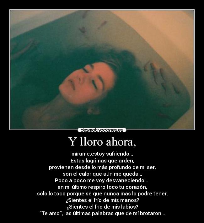 Y lloro ahora, - mírame,estoy sufriendo...
Estas lágrimas que arden,
provienen desde lo más profundo de mi ser,
son el calor que aún me queda...
Poco a poco me voy desvaneciendo...
en mi último respiro toco tu corazón,
sólo lo toco porque sé que nunca más lo podré tener.
¿Sientes el frío de mis manos?
¿Sientes el frío de mis labios?
Te amo, las últimas palabras que de mí brotaron...