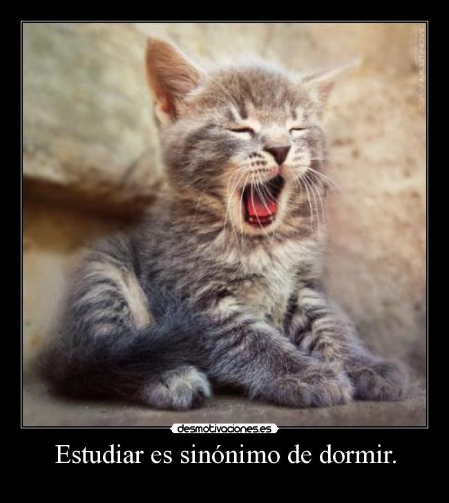 Estudiar es sinónimo de dormir. -