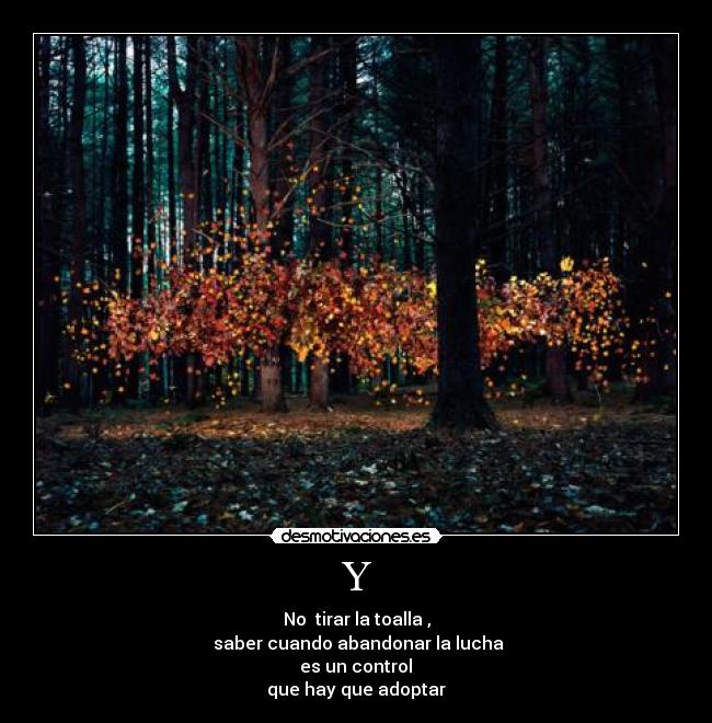 Y - No tirar la toalla ,
saber cuando abandonar la lucha
es un control
que hay que adoptar