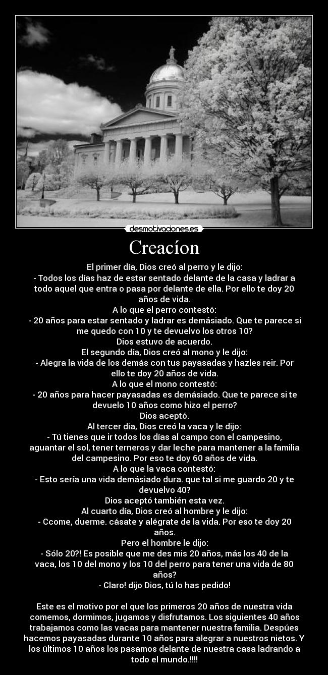 Creacíon - El primer día, Dios creó al perro y le dijo:
- Todos los días haz de estar sentado delante de la casa y ladrar a
todo aquel que entra o pasa por delante de ella. Por ello te doy 20
años de vida.
A lo que el perro contestó:
- 20 años para estar sentado y ladrar es demásiado. Que te parece si
me quedo con 10 y te devuelvo los otros 10?
Dios estuvo de acuerdo.
El segundo día, Dios creó al mono y le dijo:
- Alegra la vida de los demás con tus payasadas y hazles reir. Por
ello te doy 20 años de vida.
A lo que el mono contestó:
- 20 años para hacer payasadas es demásiado. Que te parece si te
devuelo 10 años como hizo el perro?
Dios aceptó.
Al tercer dia, Dios creó la vaca y le dijo:
- Tú tienes que ir todos los días al campo con el campesino,
aguantar el sol, tener terneros y dar leche para mantener a la familia
del campesino. Por eso te doy 60 años de vida.
A lo que la vaca contestó:
- Esto sería una vida demásiado dura. que tal si me guardo 20 y te
devuelvo 40?
Dios aceptó también esta vez.
Al cuarto día, Dios creó al hombre y le dijo:
- Ccome, duerme. cásate y alégrate de la vida. Por eso te doy 20
años.
Pero el hombre le dijo:
- Sólo 20?! Es posible que me des mis 20 años, más los 40 de la
vaca, los 10 del mono y los 10 del perro para tener una vida de 80
años?
- Claro! dijo Dios, tú lo has pedido!
Este es el motivo por el que los primeros 20 años de nuestra vida
comemos, dormimos, jugamos y disfrutamos. Los siguientes 40 años
trabajamos como las vacas para mantener nuestra familia. Despúes
hacemos payasadas durante 10 años para alegrar a nuestros nietos. Y
los últimos 10 años los pasamos delante de nuestra casa ladrando a
todo el mundo.!!!!