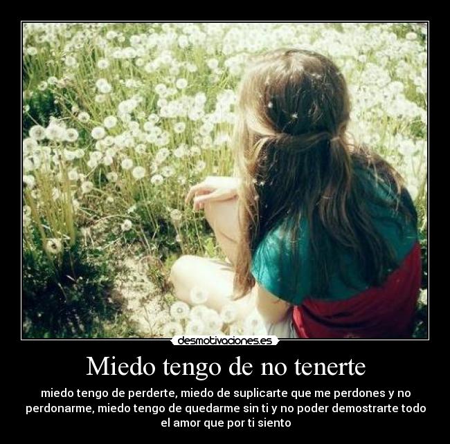 Miedo tengo de no tenerte - 