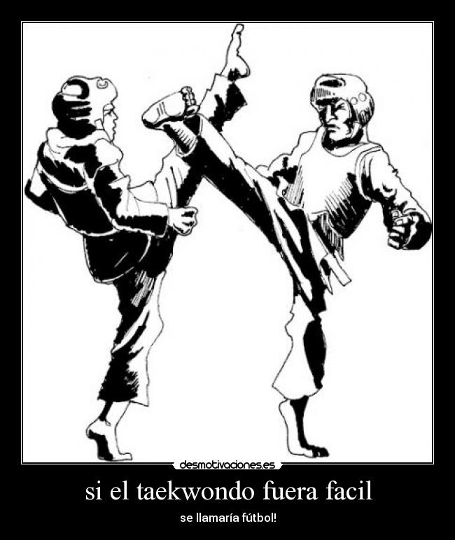 carteles taekwondo desmotivaciones
