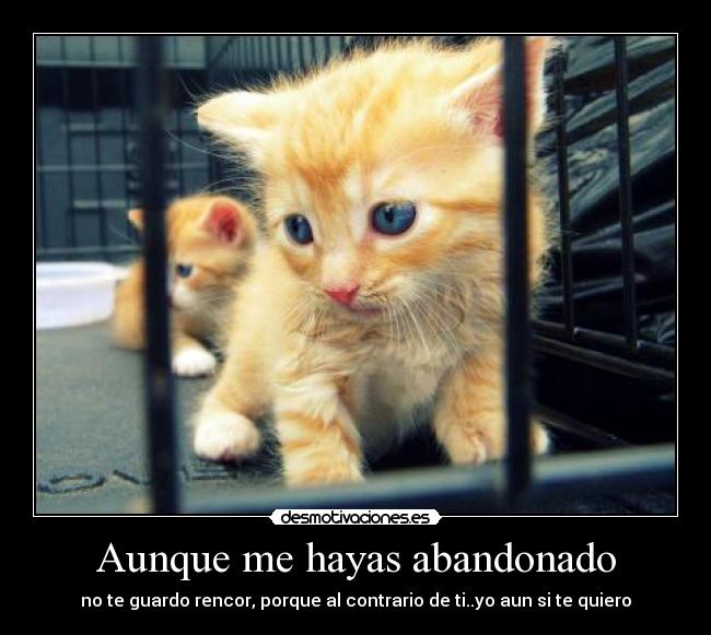 Aunque me hayas abandonado -