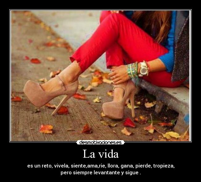 La vida - es un reto, vivela, siente,ama,rie, llora, gana, pierde, tropieza,
pero siempre levantante y sigue .