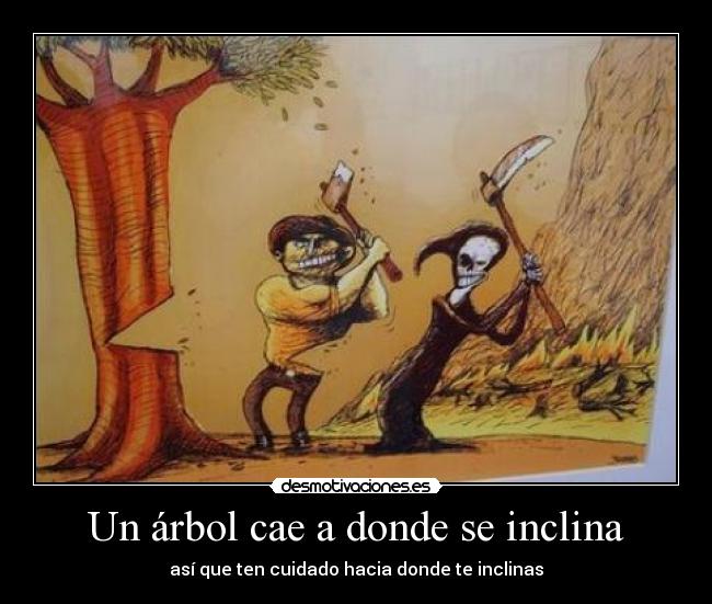 Un árbol cae a donde se inclina -