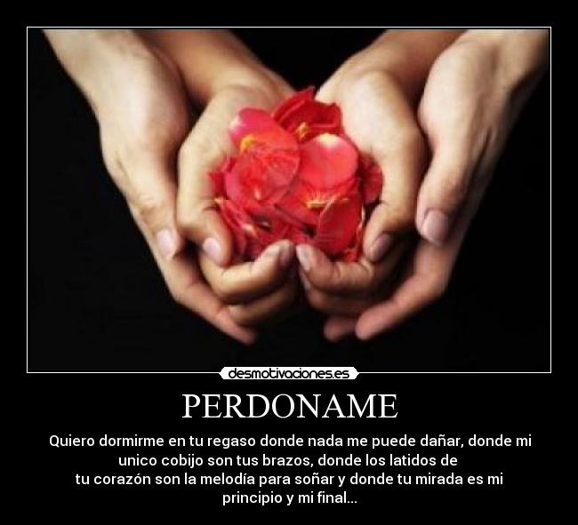 carteles perdoname sol desmotivaciones