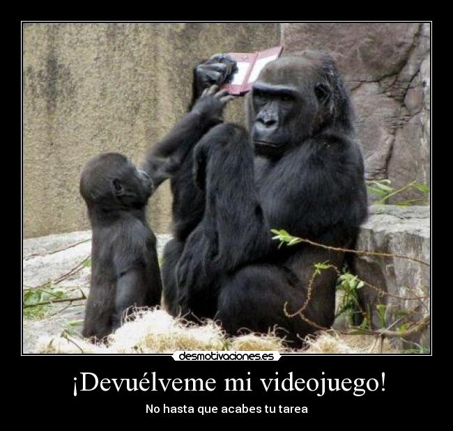 carteles doctor raptorhunters true story desmotivaciones