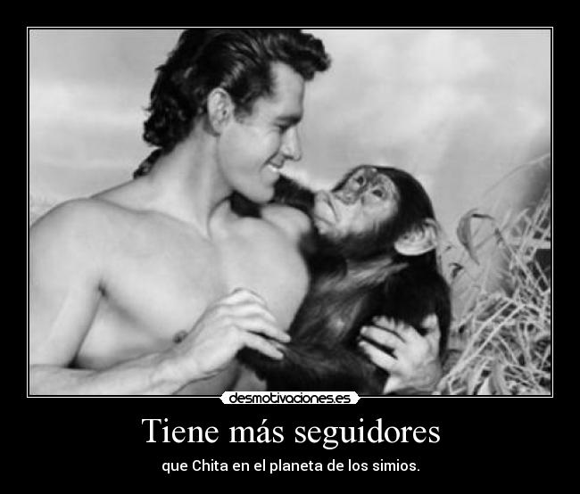 Tiene más seguidores - que Chita en el planeta de los simios.