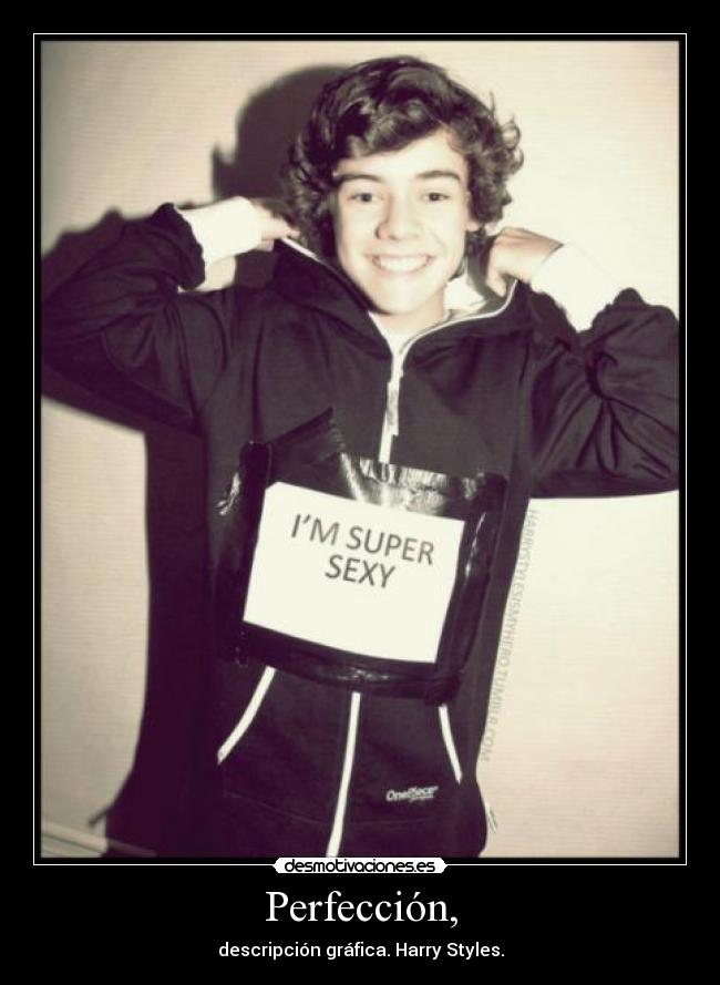 Perfección, - descripción gráfica. Harry Styles.