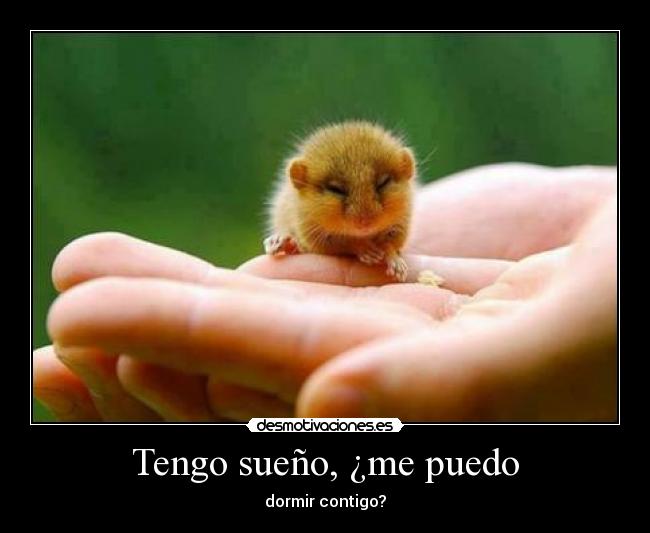 Tengo sueño, ¿me puedo -