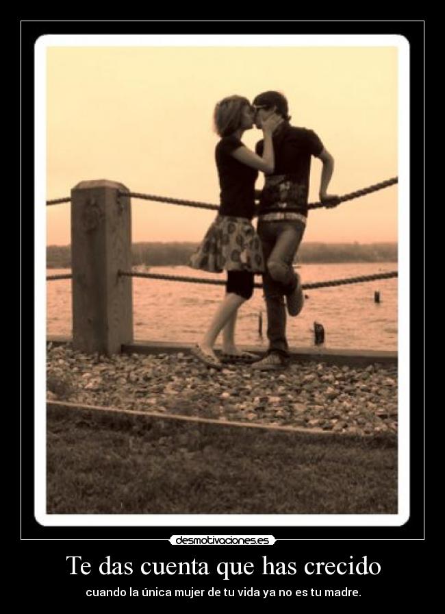 carteles pau185 desmotivaciones