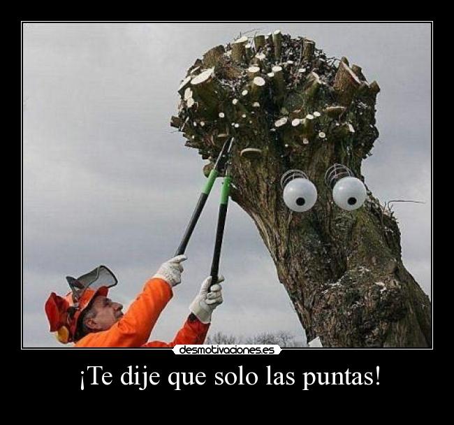 carteles eften imagen mola desmotivaciones