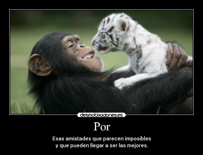 Por - Esas amistades que parecen imposibles
y que pueden llegar a ser las mejores.