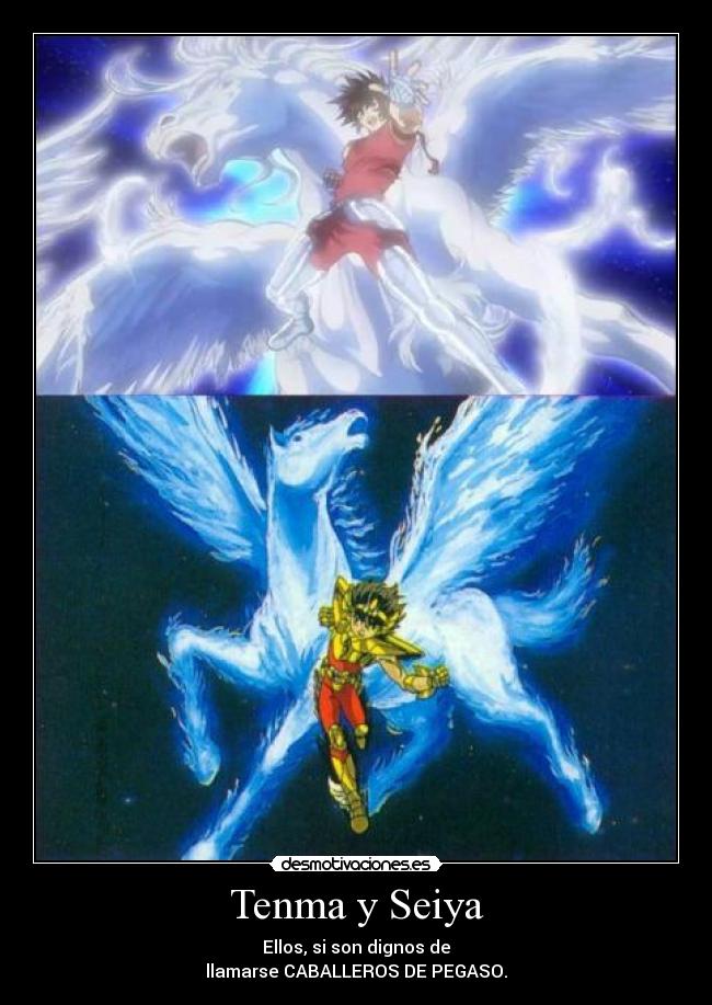 carteles ellos son dignos portar armadura pegaso infinito desprecio koga desmotivaciones