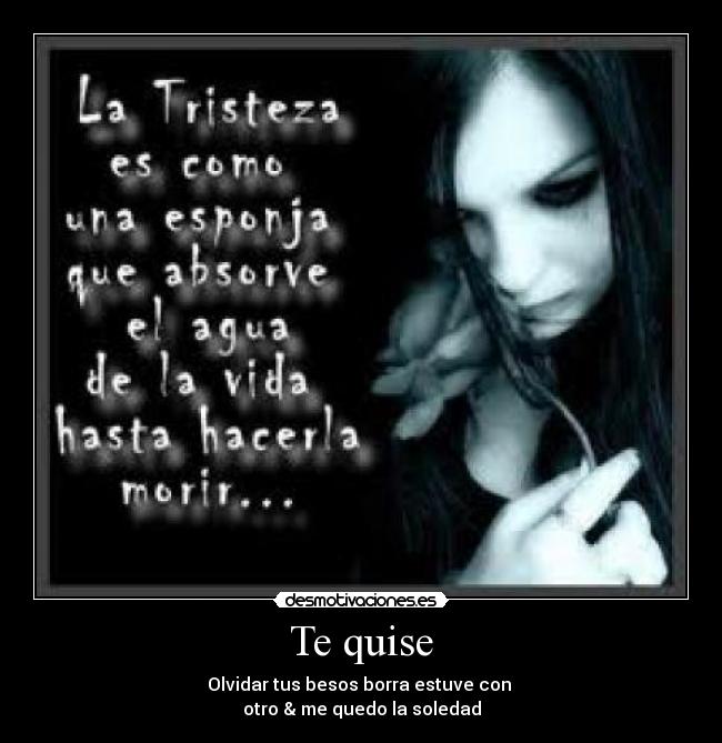 Te quise - Olvidar tus besos borra estuve con 
otro & me quedo la soledad