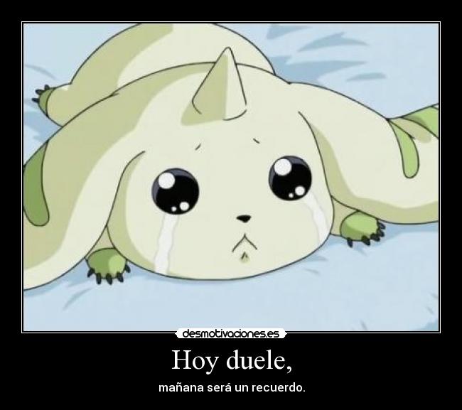 Hoy duele, -