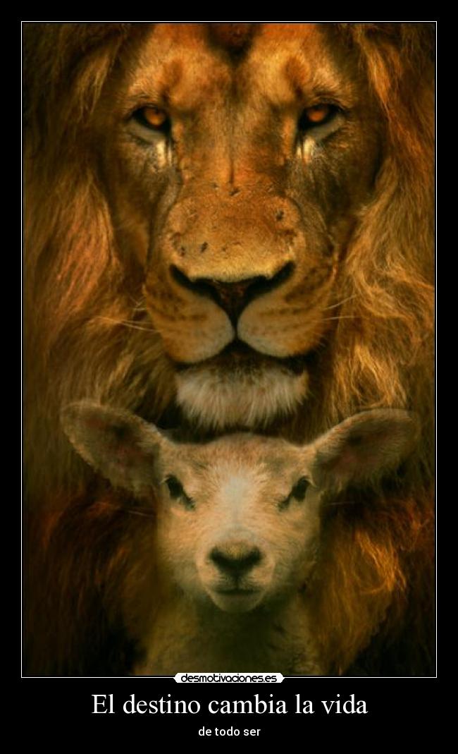 El destino cambia la vida -
