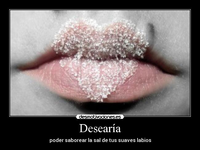 Desearía - poder saborear la sal de tus suaves labios