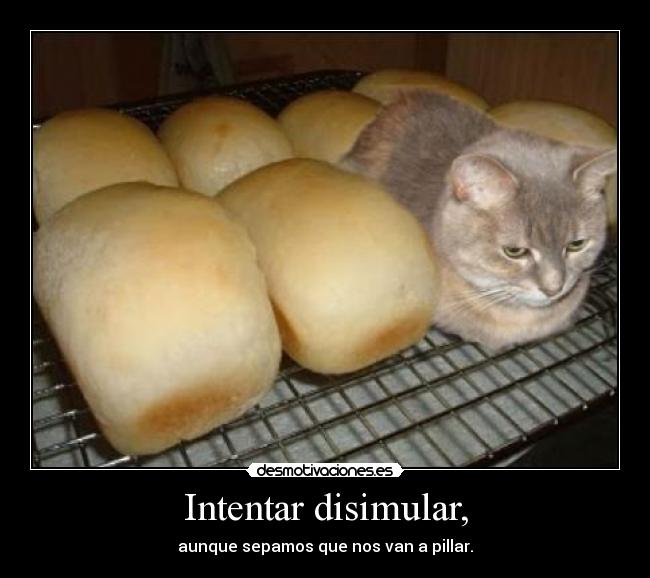 Intentar disimular, - 