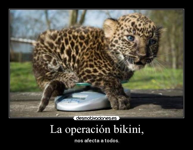 La operación bikini, -