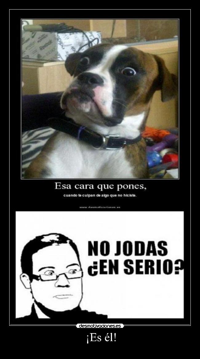 carteles lol pobre perro desmotivaciones