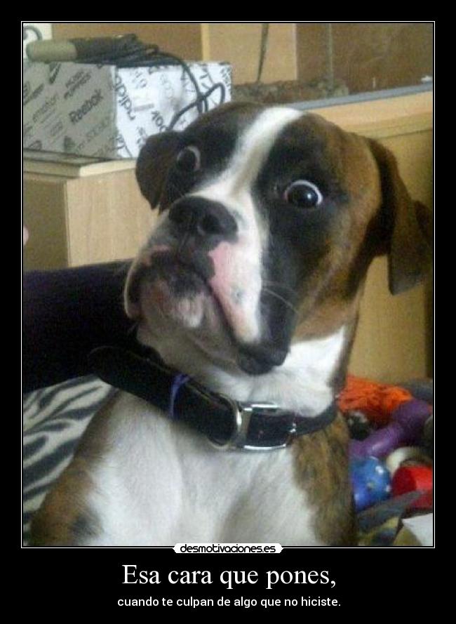 Esa cara que pones, -