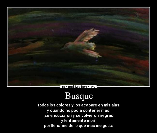 Busque -