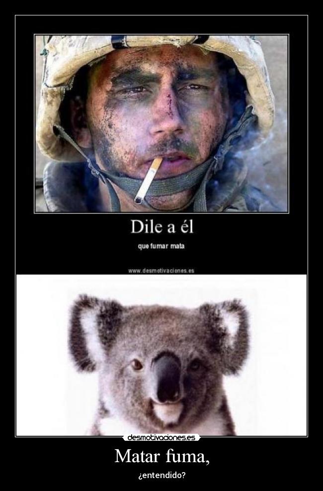 carteles lol parida basura evrywhere intruders desmotivaciones