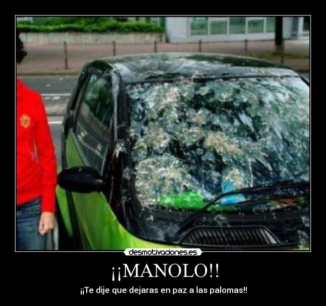 ¡¡MANOLO!! - 