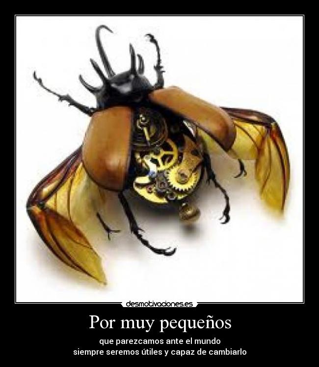 Por muy pequeños - que parezcamos ante el mundo
siempre seremos útiles y capaz de cambiarlo