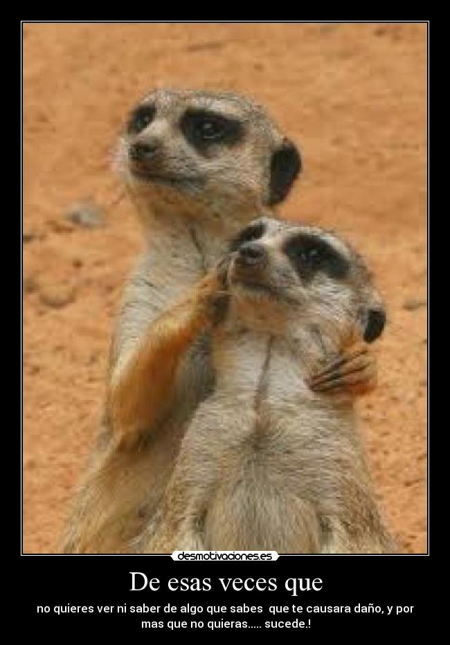 De esas veces que - no quieres ver ni saber de algo que sabes  que te causara daño, y por
mas que no quieras..... sucede.!