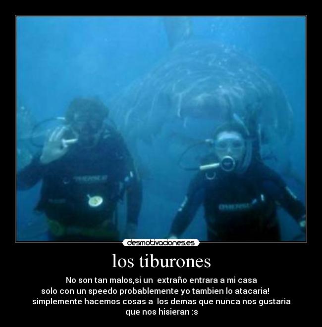 carteles lauu desmotivaciones