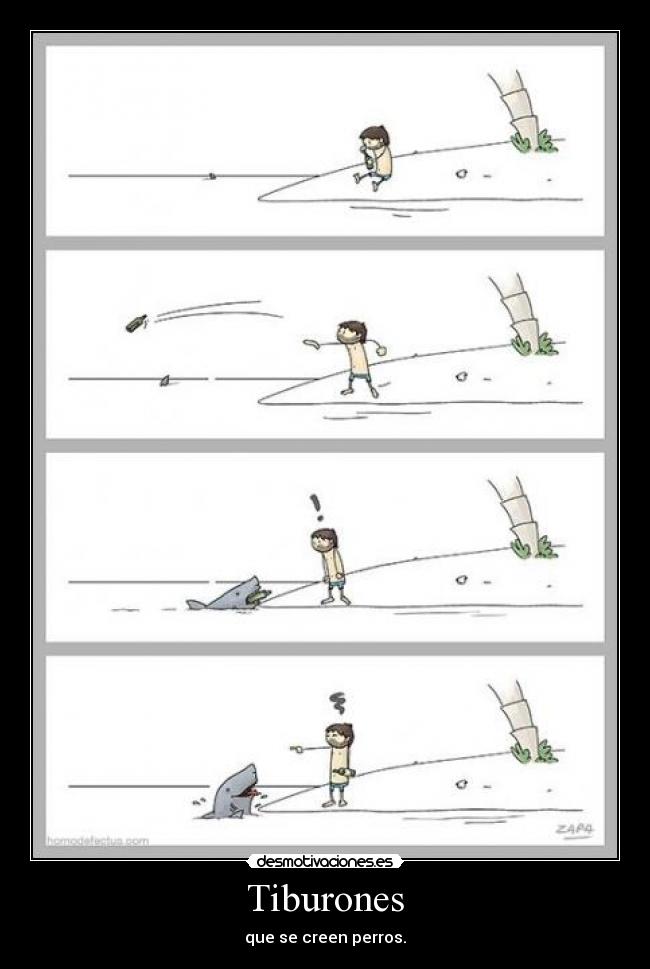 Tiburones - que se creen perros.