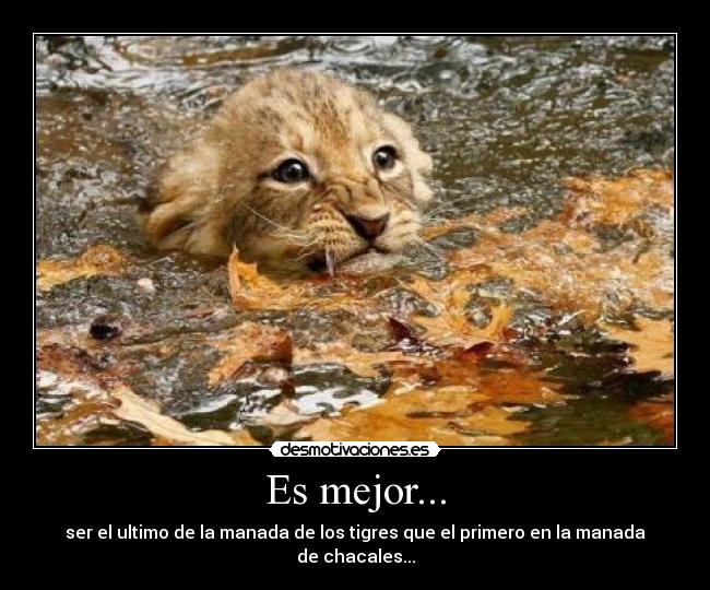 Es mejor... - 
