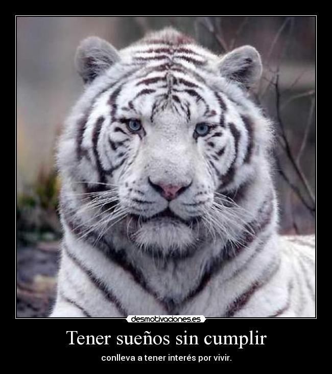 Tener sueños sin cumplir -