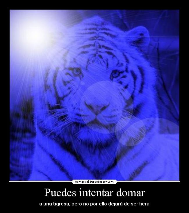 Puedes intentar domar - a una tigresa, pero no por ello dejará de ser fiera.