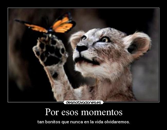 Por esos momentos - tan bonitos que nunca en la vida olvidaremos.