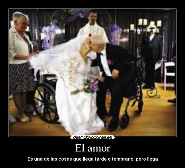 El amor - 