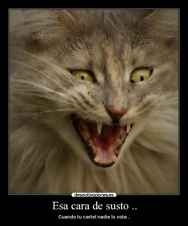 Esa cara de susto .. - Cuando tu cartel nadie lo vota ..