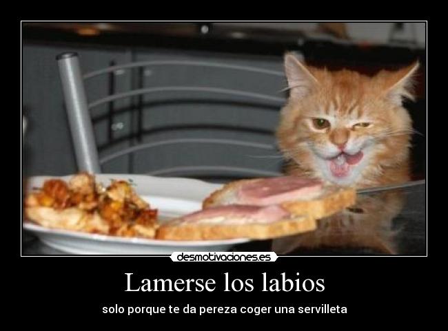 carteles eften gatitosdeefe hay carteles aburrir xddd desmotivaciones