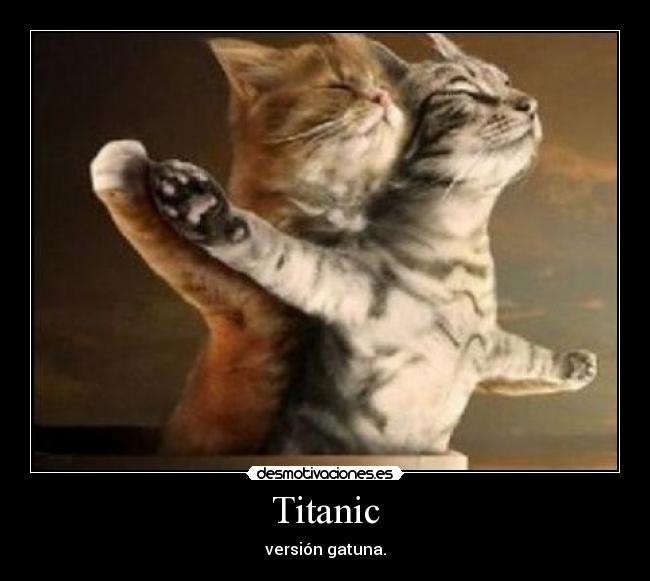 Titanic - versión gatuna.
