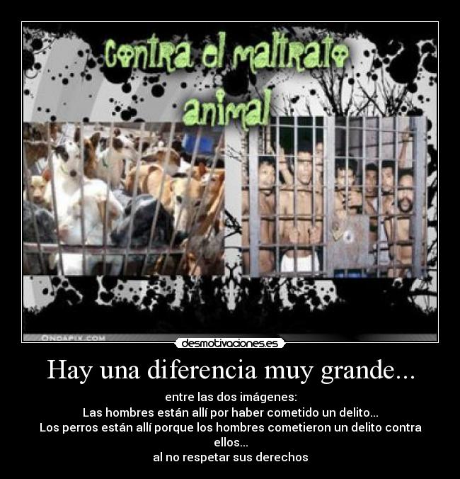 Hay una diferencia muy grande... - 