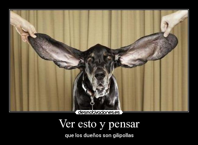 Ver esto y pensar -
