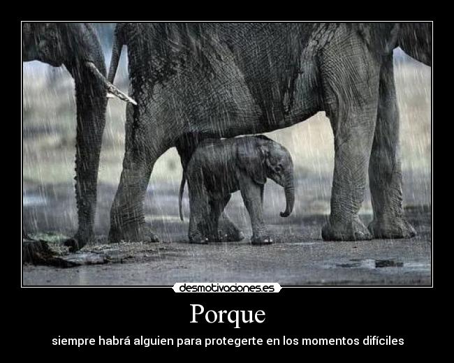 Porque -