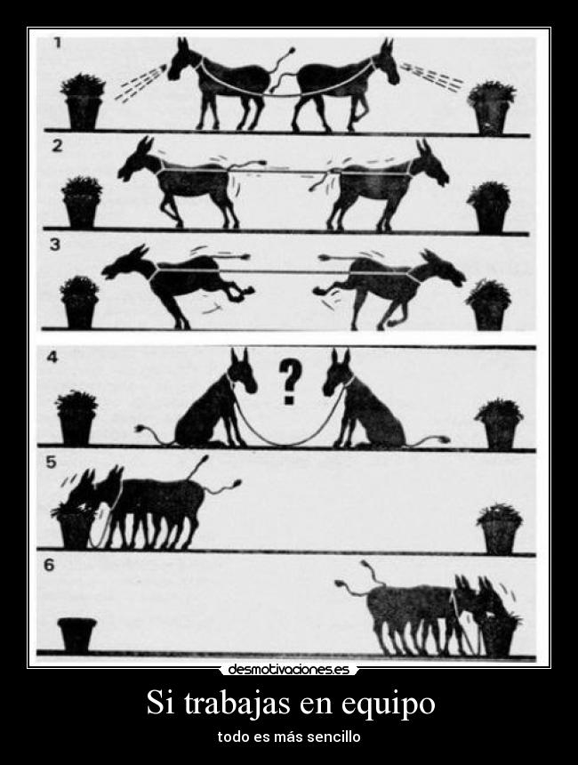 Si trabajas en equipo -
