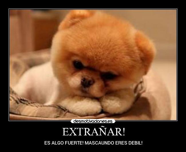 EXTRAÑAR! -