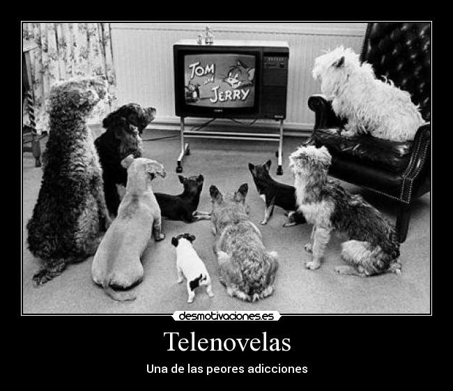 Telenovelas -