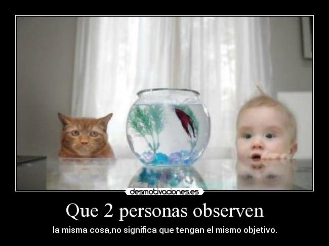 Que 2 personas observen - 